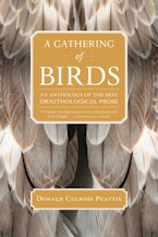 A Gathering of Birds