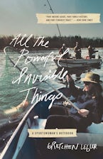 All the Powerful Invisible Things